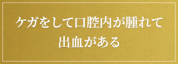 ケガをして口腔内が腫れて出血がある